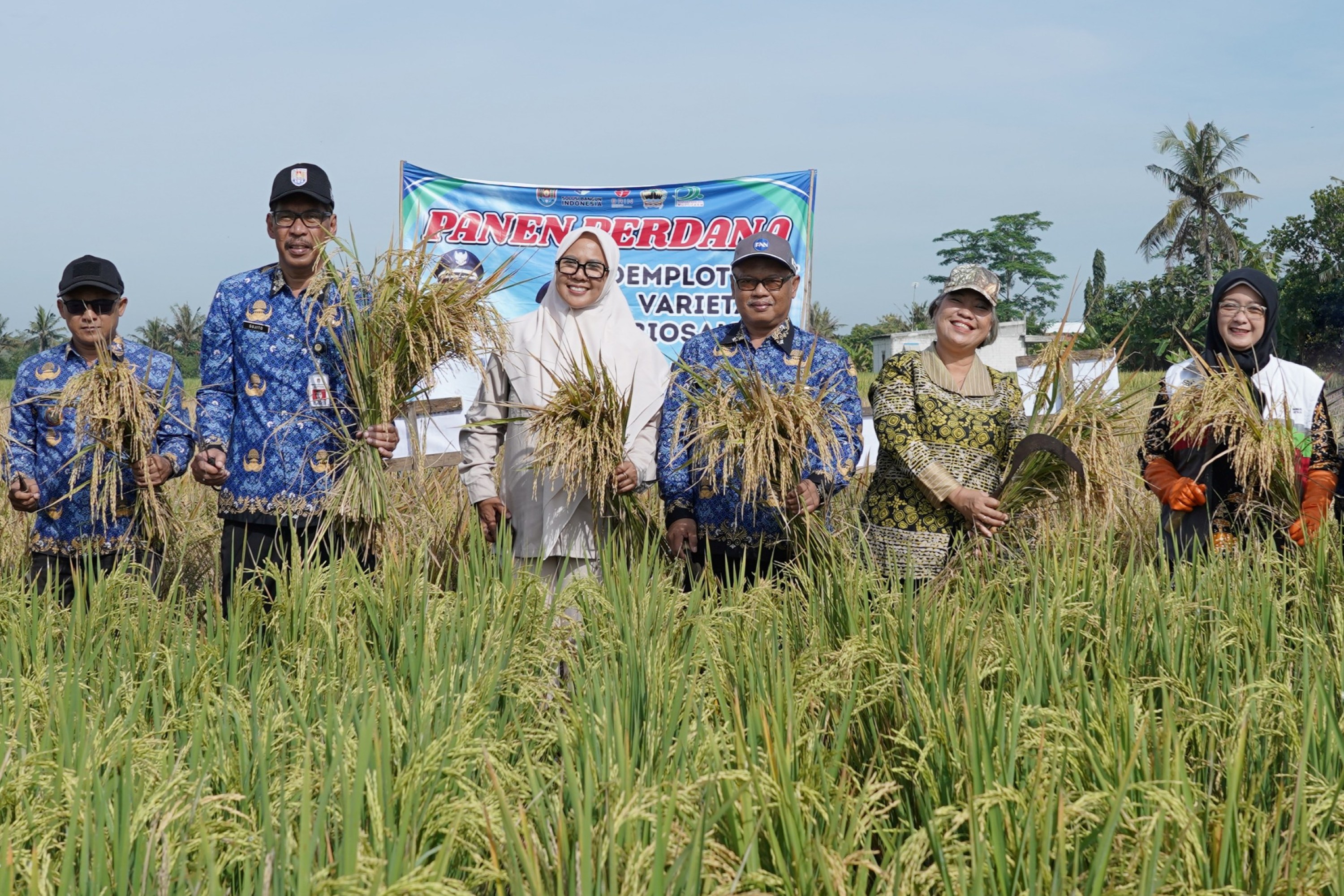 Sukses Uji Coba Padi Biosalin, SIG dan Pemkab Cilacap Dorong Pertanian Berkelanjutan untuk Ketahanan Pangan