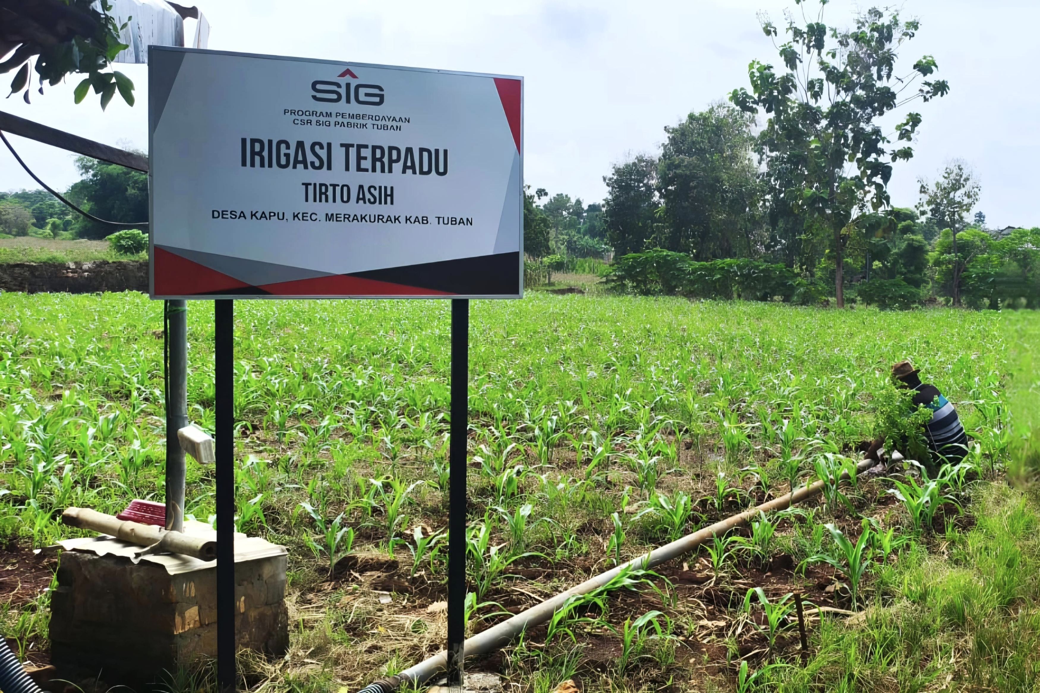 Bisa Panen Empat Kali dalam Setahun, Bantuan Irigasi SIG Tingkatkan Produktivitas Pertanian di Tuban, Jawa Timur