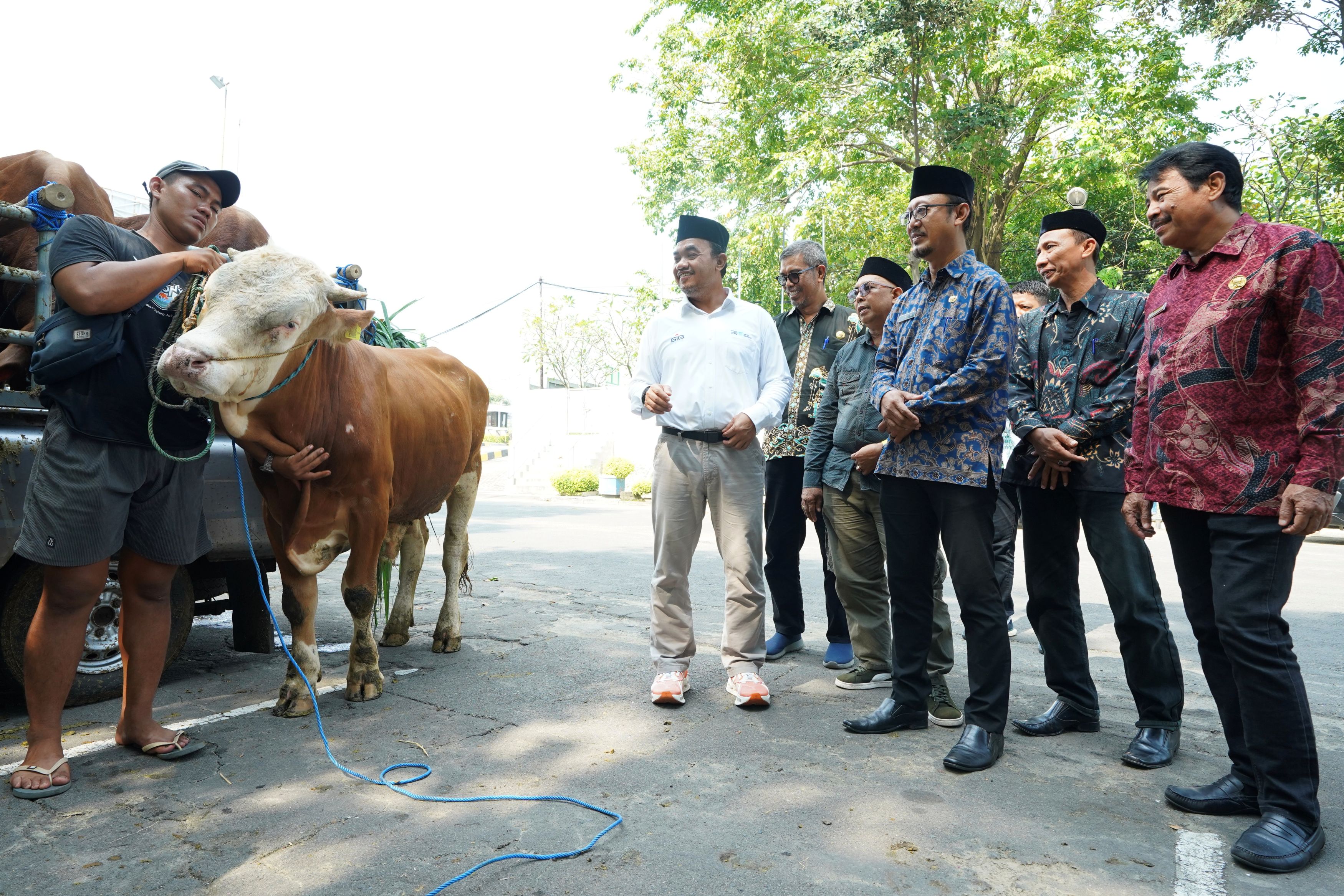 Iduladha 1446 H, SIG Bagikan 237 Hewan Kurban Setara 21 Ton Daging di 20 Provinsi