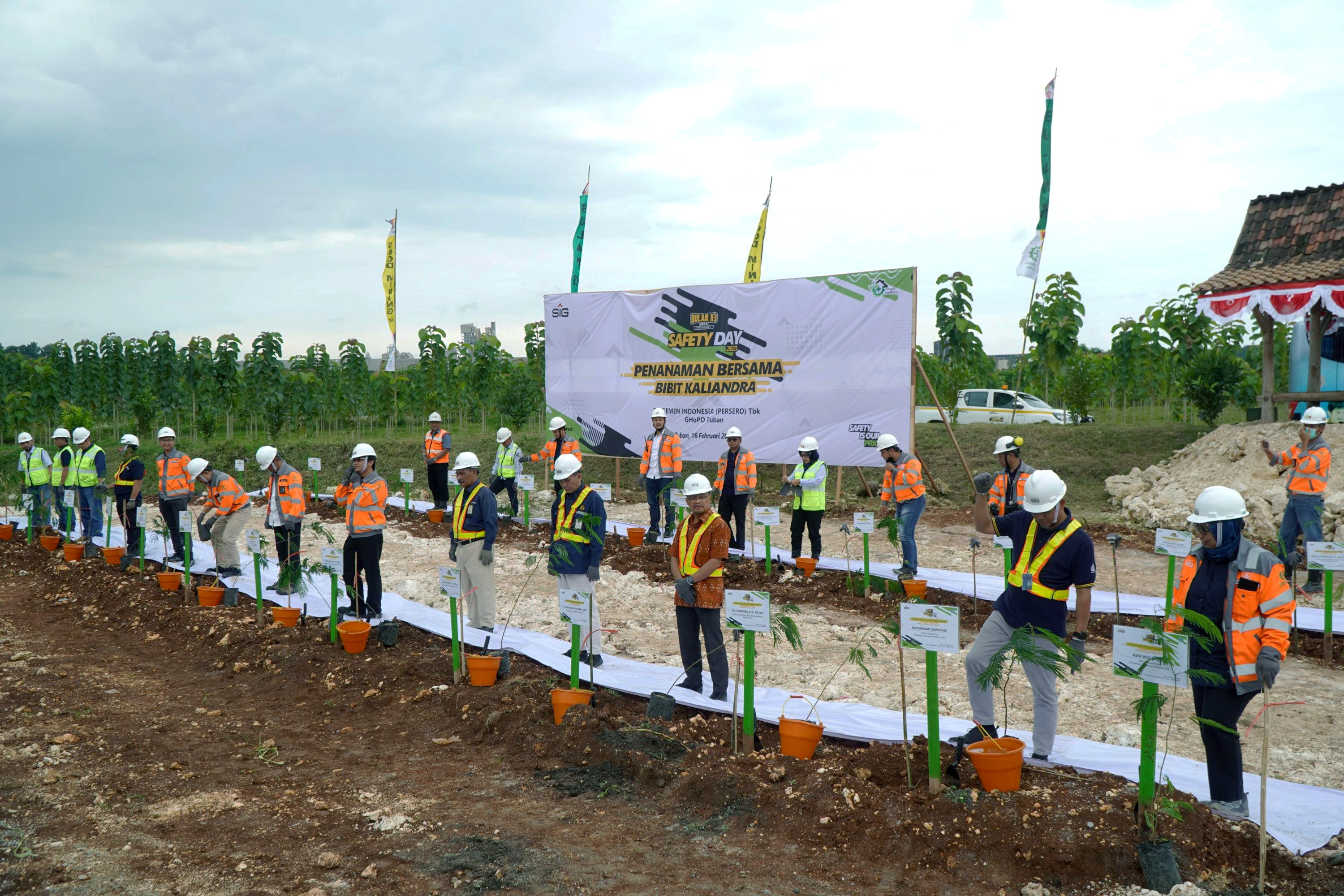 Peringati Hari Hutan Internasional Tahun 2024, SIG Tanam Lebih dari 500 Ribu Pohon di Lahan Pascatambang Pabrik Tuban