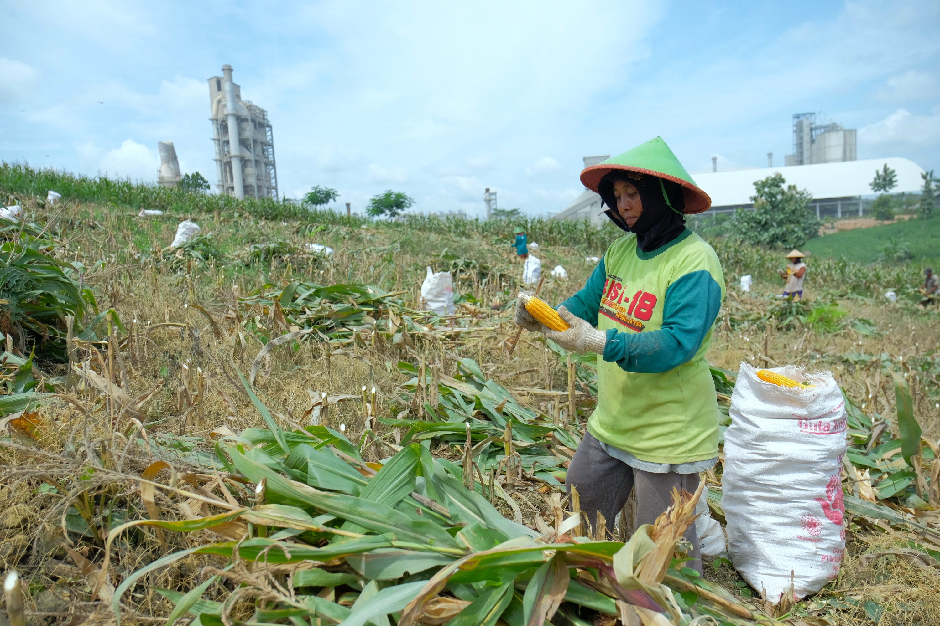 SIG Tingkatkan Kesejahteraan Petani di Rembang Melalui Program Semen Gresik Sahabat Petani