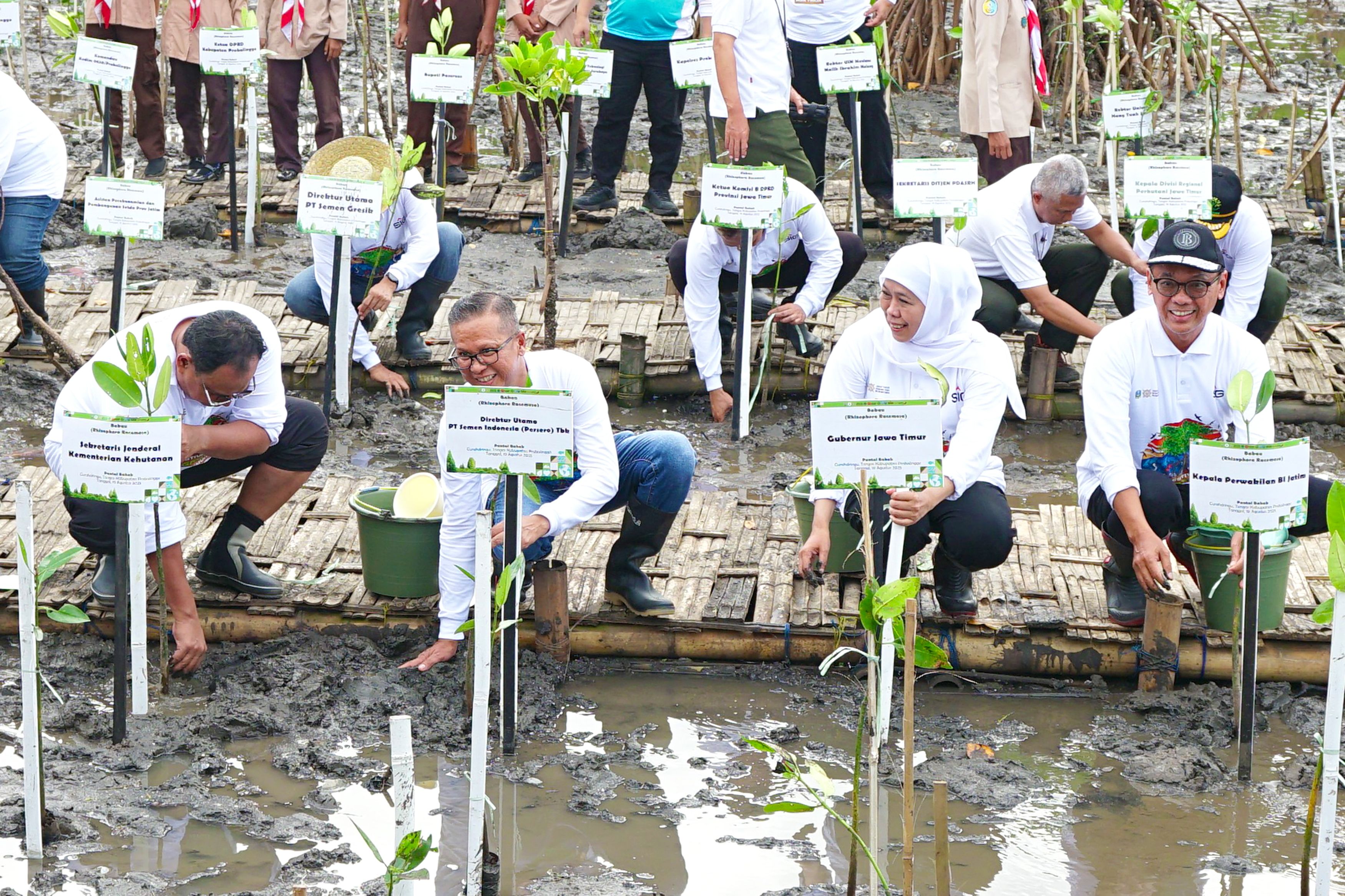 Dukung Kepemimpinan Jawa Timur dalam Konservasi Hayati Mangrove, SIG Tanam 17.845 Bibit Bakau di Probolinggo