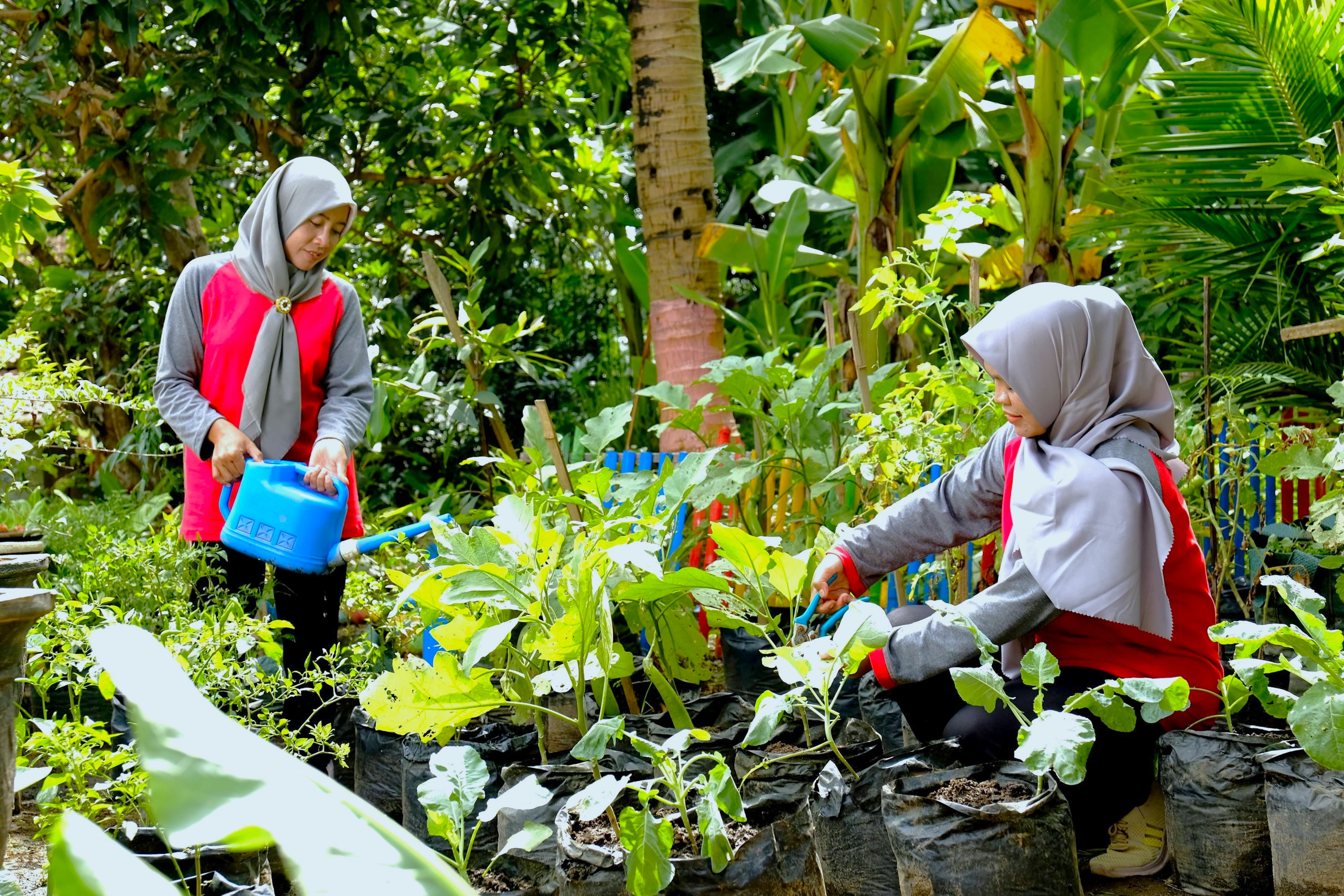 Berdayakan 879 Perempuan, Program Bumi Kartini SIG Ubah Limbah Ternak Sapi Menjadi Sumber Peningkatan Ekonomi Masyarakat