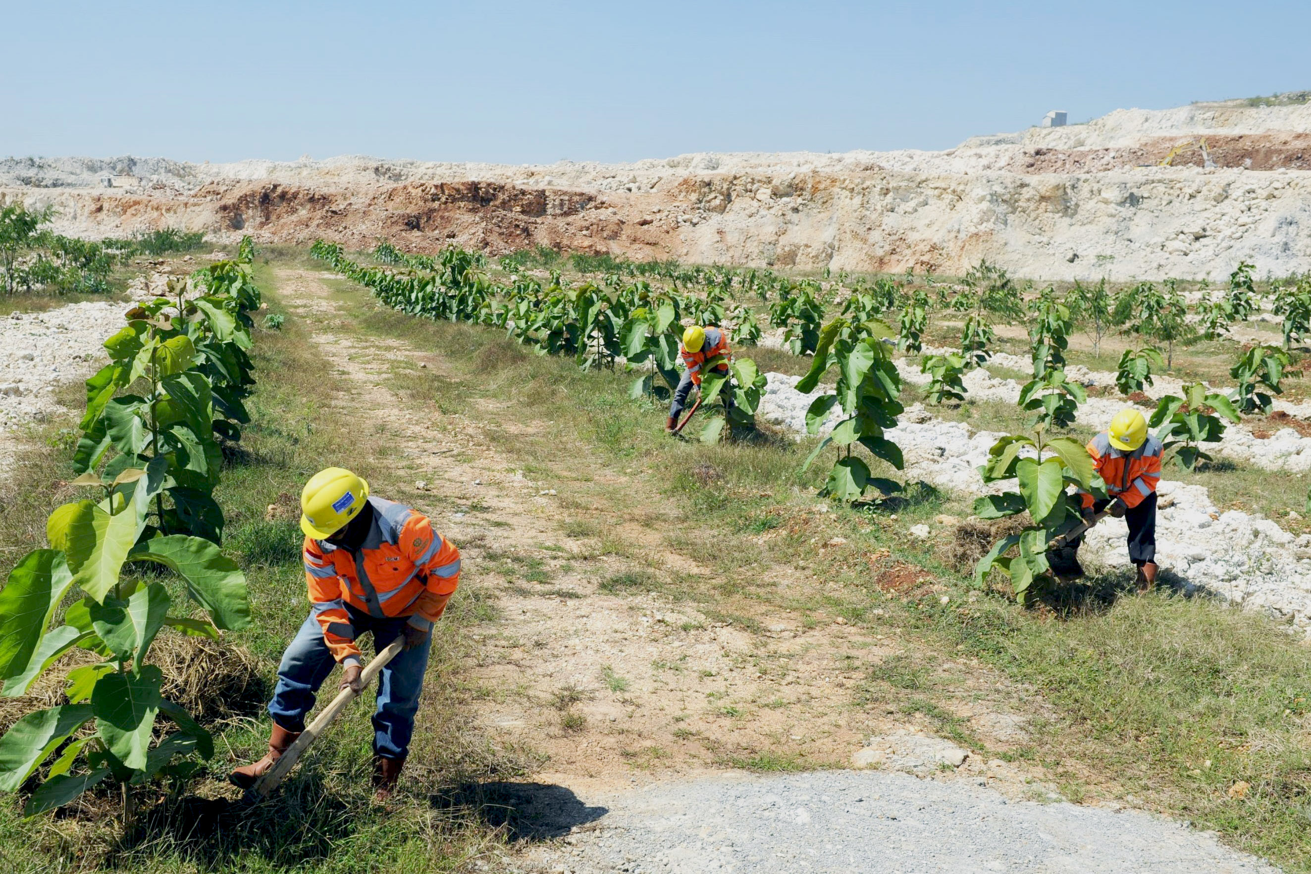 SIG Achieved Position of Top 10 Construction Materials Issuers  with the Best ESG Ratings in Southeast Asia