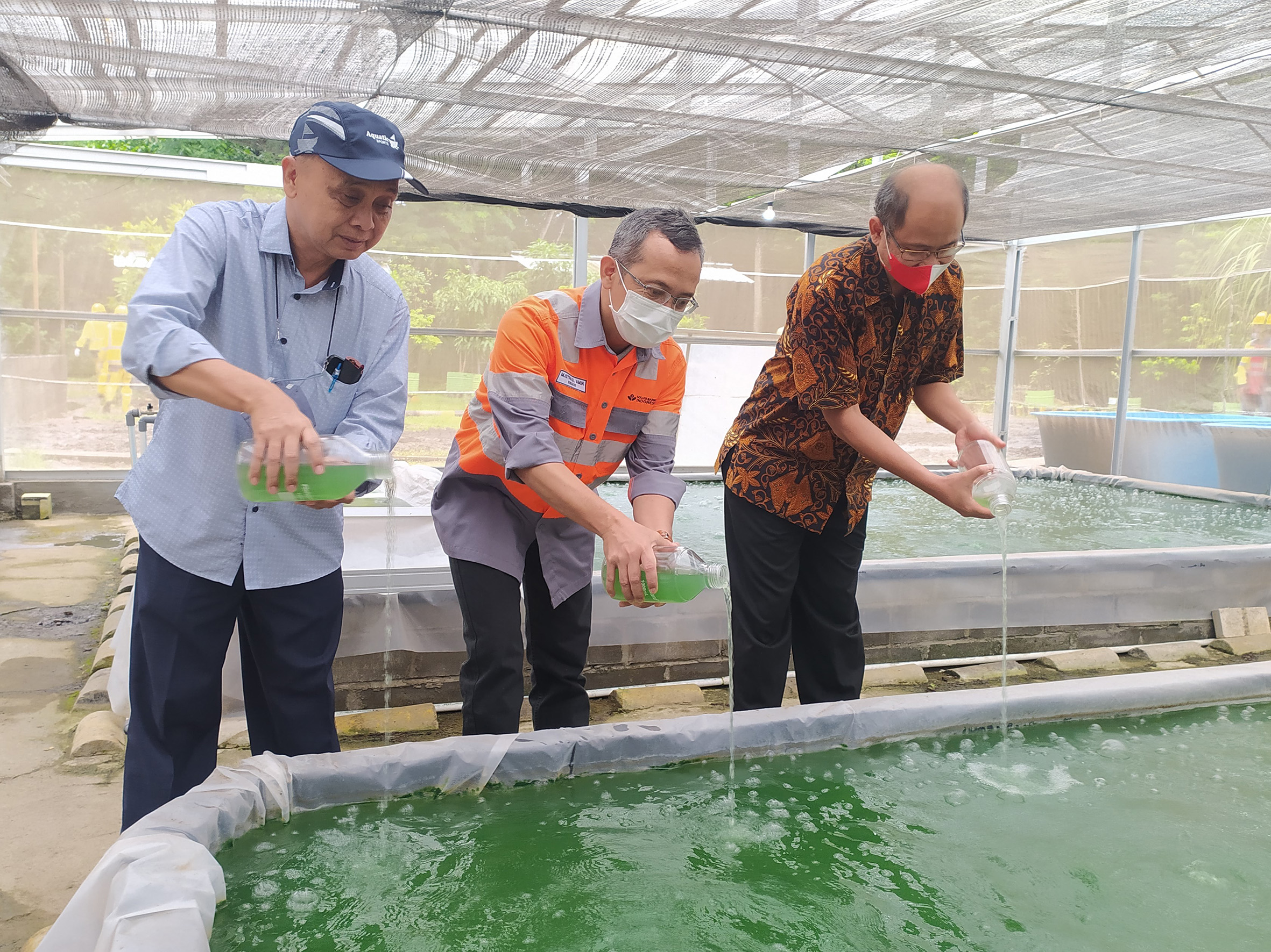 SBI Pabrik Cilacap Budidaya Mikroalga, Sebagai Terobosan Inovasi Dekarbonisasi di Lingkungan Operasional Pabrik